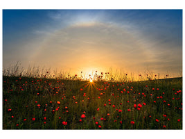 modern-3-piece-canvas-print-red-poppies-and-sunrise