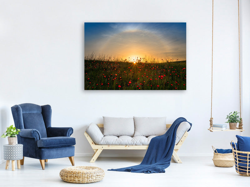 3-piece-canvas-print-red-poppies-and-sunrise