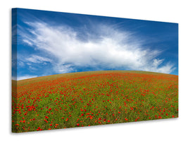 5-piece-canvas-print-red-poppies