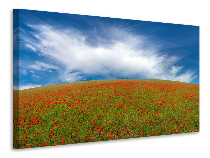 3-piece-canvas-print-red-poppies