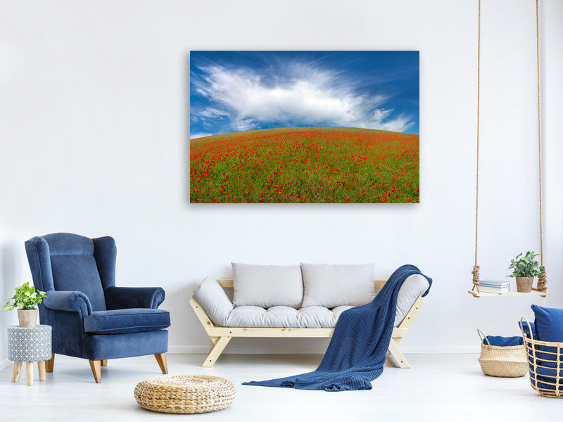 modern-4-piece-canvas-print-red-poppies