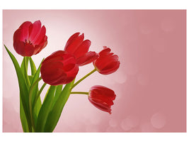 modern-4-piece-canvas-print-red-tulips-bouquet