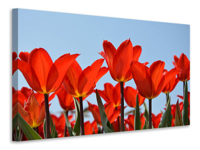 3-piece-canvas-print-red-tulips-xl
