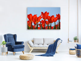 5-piece-canvas-print-red-tulips-xl