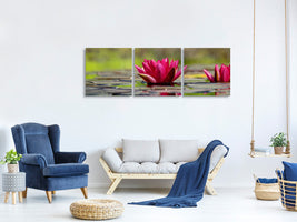 panoramic-canvas-print-red-water-lily-duo