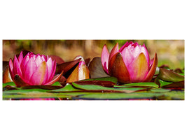 3-piece-canvas-print-red-water-lily-trio