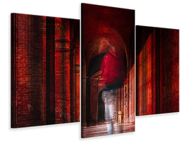 panoramic-3-piece-canvas-print-redfluid