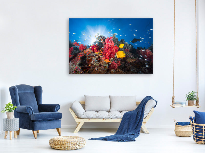 panoramic-3-piece-canvas-print-reef-life