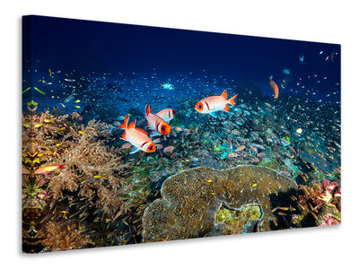 modern-3-piece-canvas-print-reef-lifeii