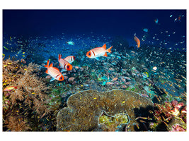 modern-3-piece-canvas-print-reef-lifeii