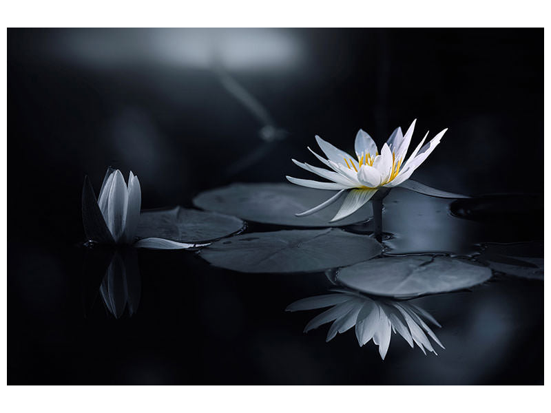 3-piece-canvas-print-reflection-iv