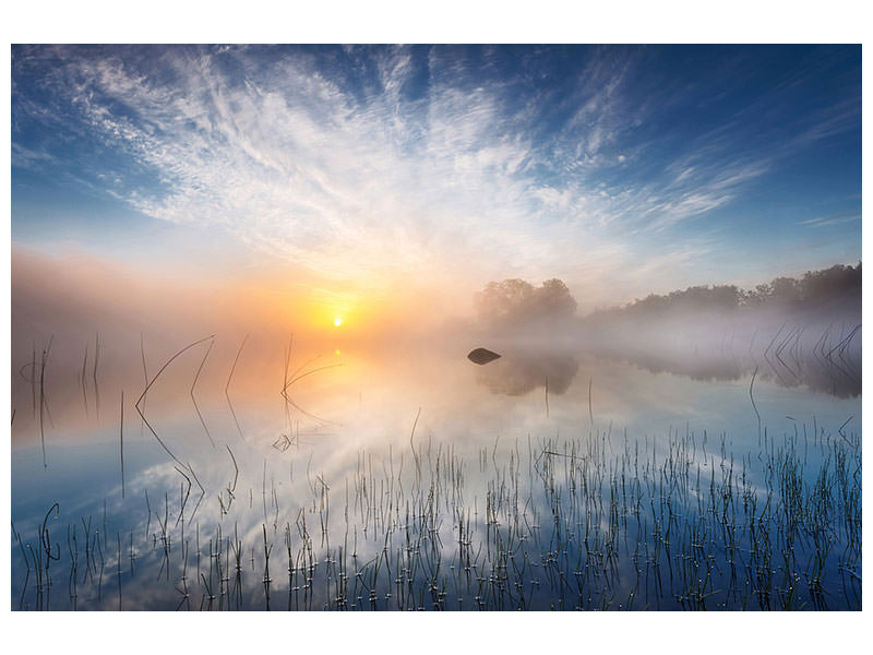 modern-4-piece-canvas-print-reflection