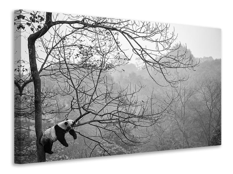 modern-3-piece-canvas-print-relax