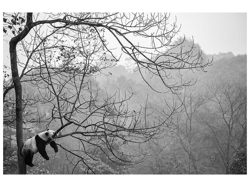modern-3-piece-canvas-print-relax