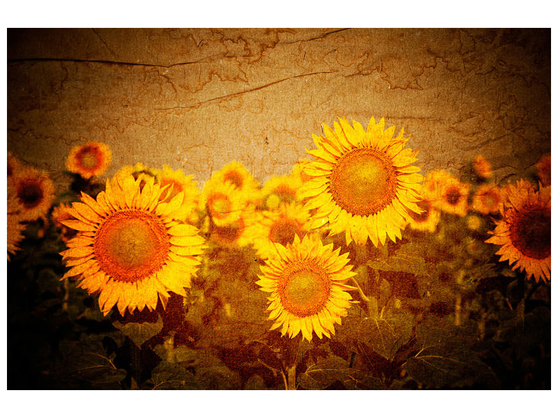 4-piece-canvas-print-retro-sunflower