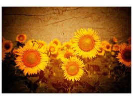 modern-4-piece-canvas-print-retro-sunflower