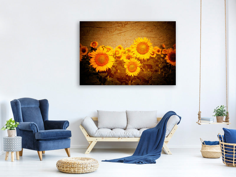 5-piece-canvas-print-retro-sunflower