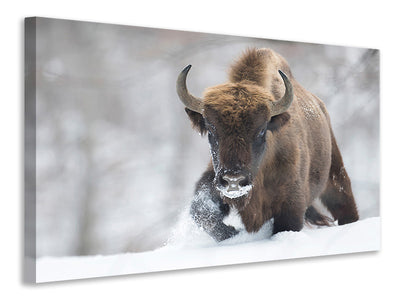3-piece-canvas-print-rewilded