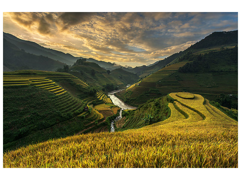 panoramic-canvas-print-riceterrace