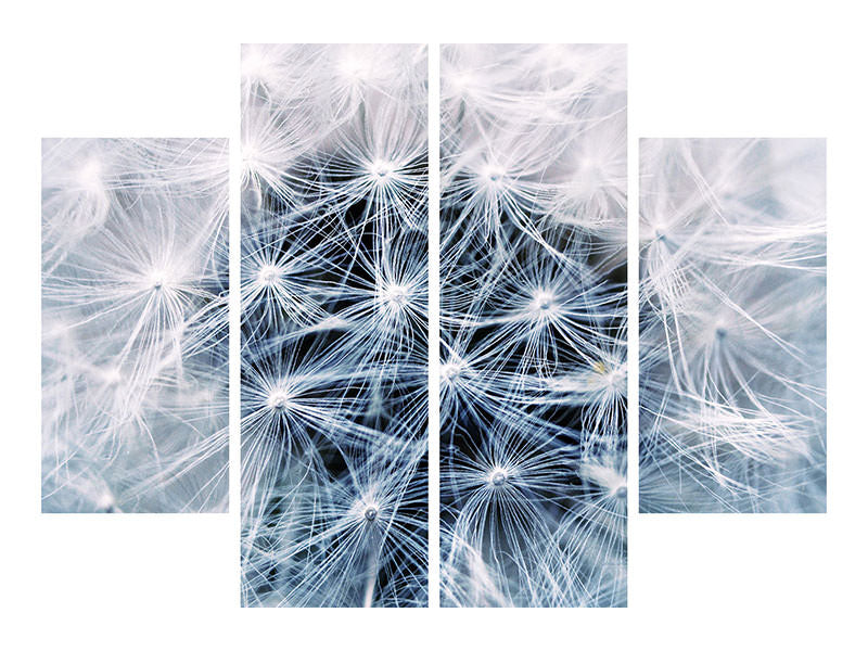 4-piece-canvas-print-ripe-dandelion-close-up