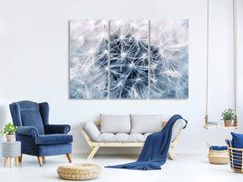 5-piece-canvas-print-ripe-dandelion-close-up