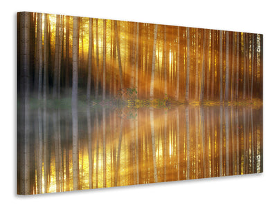 modern-4-piece-canvas-print-romantic-mood-in-the-forest