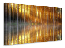 4-piece-canvas-print-romantic-mood-in-the-forest