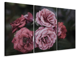 canvas-print-romantic-roses
