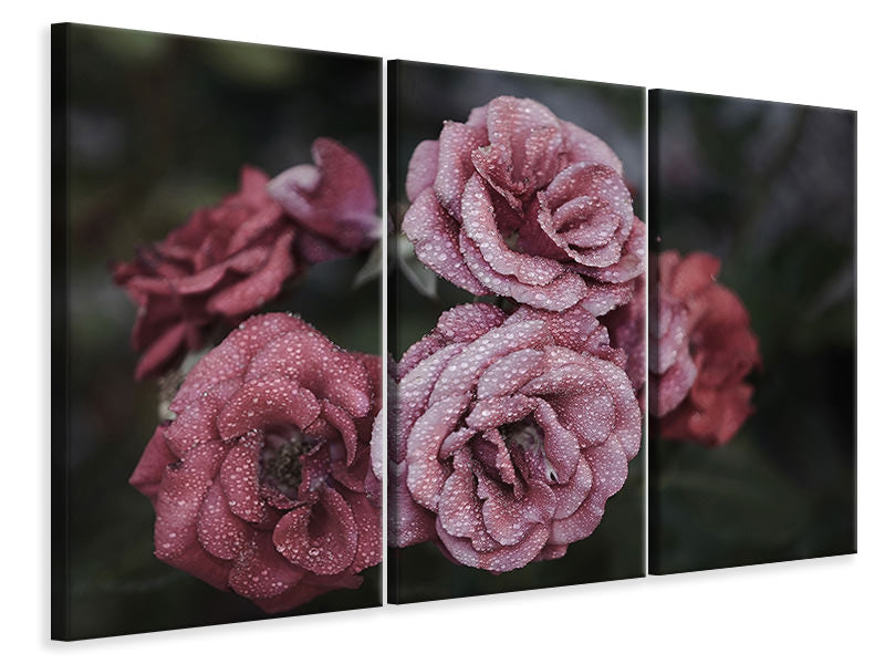 modern-3-piece-canvas-print-romantic-roses