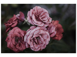 3-piece-canvas-print-romantic-roses