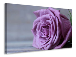 panoramic-canvas-print-rose-in-purple-xxl