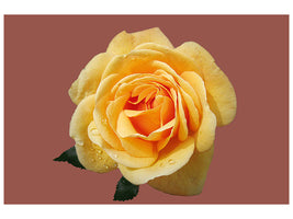 3-piece-canvas-print-rose-in-yellow-xxl