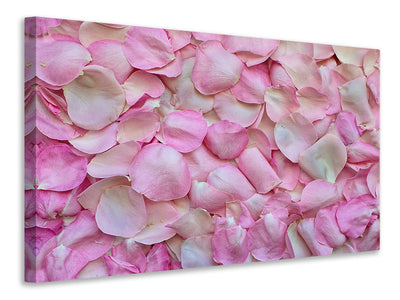 panoramic-canvas-print-rose-petals-in-pink-ii