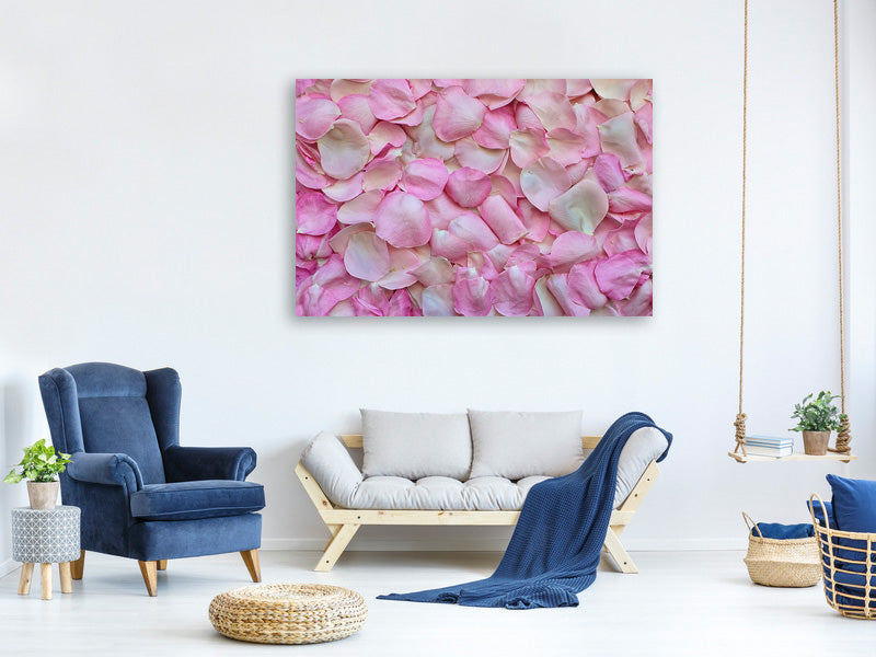 modern-4-piece-canvas-print-rose-petals-in-pink-ii