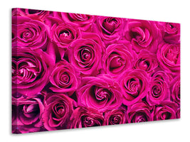 panoramic-canvas-print-rose-petals-in-pink