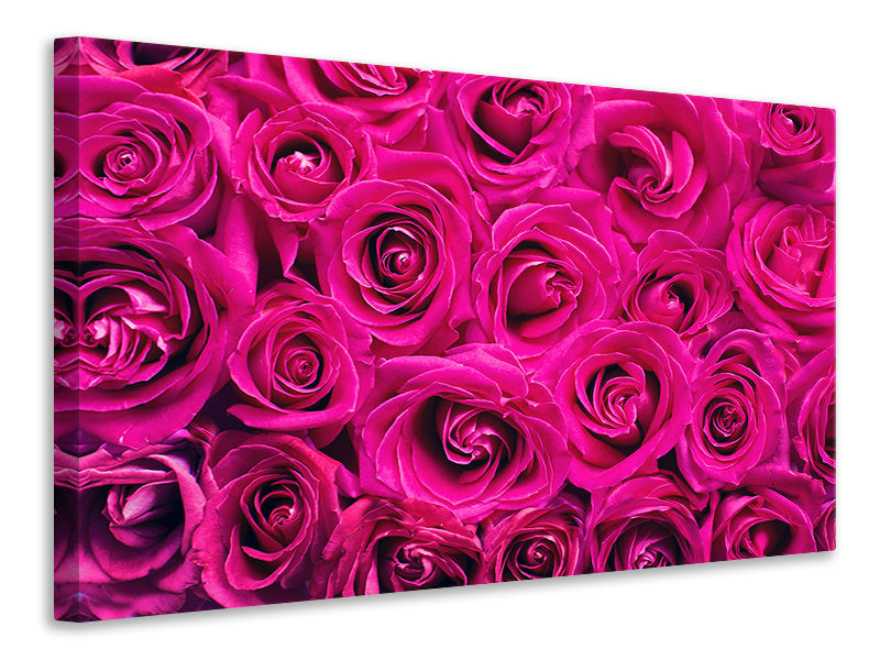 modern-4-piece-canvas-print-rose-petals-in-pink