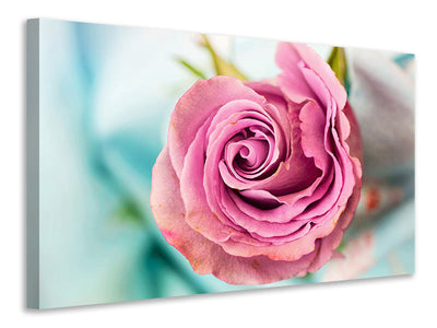 modern-3-piece-canvas-print-roseblossom-in-pink