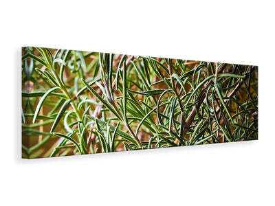 canvas-print-rosemary-xxl