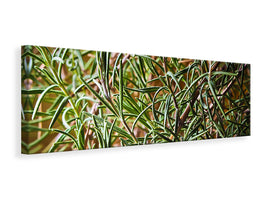 5-piece-canvas-print-rosemary-xxl