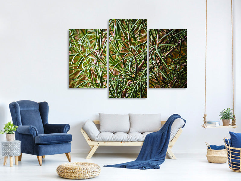 4-piece-canvas-print-rosemary-xxl