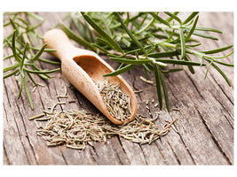 5-piece-canvas-print-rosemary