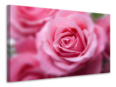 3-piece-canvas-print-roses-macro
