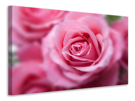 5-piece-canvas-print-roses-macro