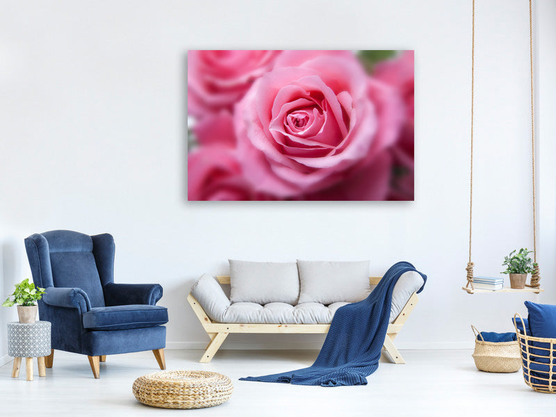 modern-3-piece-canvas-print-roses-macro