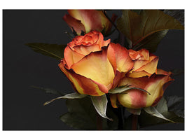 5-piece-canvas-print-roses-of-the-romance