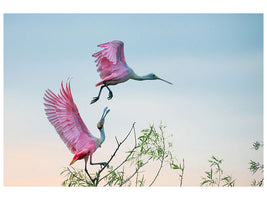 3-piece-canvas-print-rosy-pair