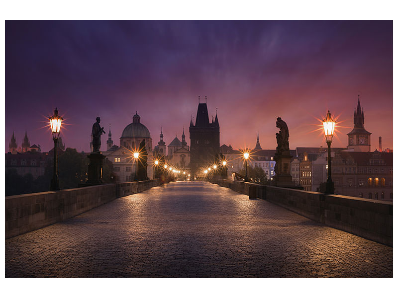 5-piece-canvas-print-saint-charles-bridge-prague