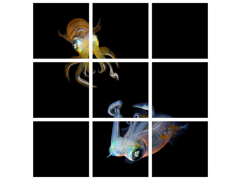 canvas-print-sea-jewels