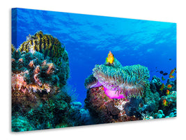 panoramic-3-piece-canvas-print-sea-life