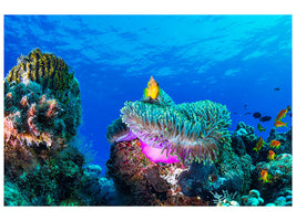 modern-3-piece-canvas-print-sea-life